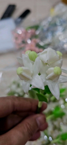 ดอกไม้เสียบผม ดอกรักสีขาว สีชมพู ประตูผู้ใช้งาน: ดอกไม้ประดิษฐ์ดินไทย