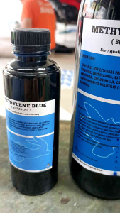 blits ich / methylene blue 250ml free pipet