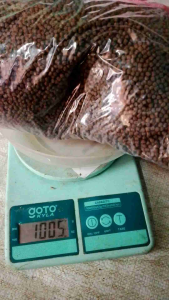 pakan ikan apung berat 1 kg