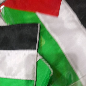 BENDERA PALESTINE UK 10×20 / BENDERA PALESTINE KECIL UK 10×20 / UNTUK DI MOTOR ATAU MOBIL