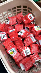 Set Bendera Regu Pramuka Putra Hewani Bordir Badge Pramuka Dan Bendera Model Bordir Beragam Hewan - Lazada