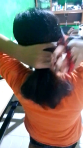 ikat rambut crunchy medium