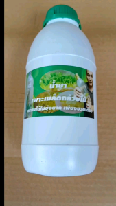 น้ำยาสำเร็จรูป สำหรับการเพาะเมล็ดกล้วยไม้ ขวดเดียวไม่ยุ่งยาก