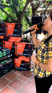 mic karaoke không dây cao cấp