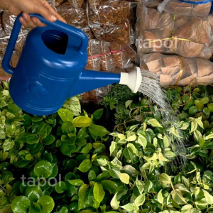 บัวรดน้ำ พลาสติกคุณภาพดี หนา ทนทาน แข็งแรง มีให้เลือกหลายขนาด ไม่รั่วไม่ซึม