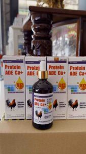 Protein ADE CA+ B12 (100ml) tăng bo lì đòn tăng tốc sung gà bổ máu gà suy gà ốm gà nhát