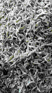 💥พร้อมส่ง ปลาจิ้งจังตากแห้ง ปลากระตักแห้ง ขนาด 2-3 ซม. ไม่ขม เค็มน้อย แคลเซียม (บรรจุ 1 กิโลกรัม 220 บาท )