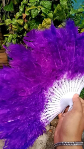 Kipas Bulu Ayam: Pilihan Ideal untuk Outdoor & Indoor
