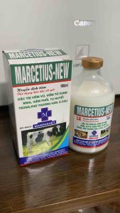 MARCETIUS NEW (100ml) marphavet xử lý viêm zú viêm tử cung tụ huyết trùng thương hàn gia súc gia cầm