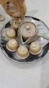 Bộ trà Hagi lọc gốm kèm dầm trà mashiko