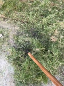 คราด มือเสือ กวาดหญ้า กวาดใบไม้  คราดหญ้า