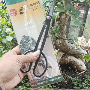 Gunting pruning bonsai msw55