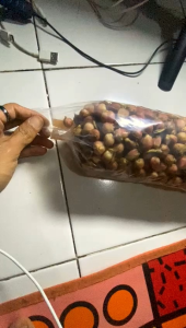 Buah Kapulaga | Kapulaga Hibrida | Kapulaga Jawa | Kapol Basah Berat 1 Kg Rempah Pilihan