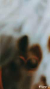 Ni baby 3D Umbilical cord floating frame with free name and birthdate