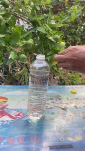 อาหารเสริมสูตร เขียวดีนาโน ฮอร์โมนพืชทุกชนิด1แผง