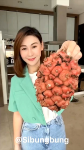 Buah Honje Segar Kebun Buah Kecombrang Untuk Kesehatan