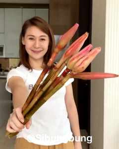 3Pcs Bunga Kecombrang Super Segar untuk Memasak bunga kantan asli bermanfaat untuk kesehatan