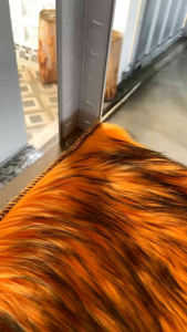 ALAS/KARPET DASHBOARD MOBIL BULU KOREA PREMIUM