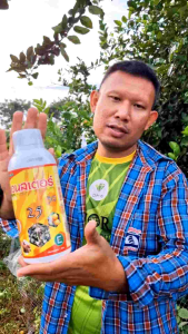 ปุ๋ยน้ำ มอนสเตอร์ สูตร 0-25-30 ใช้พ่นทางใบและราก