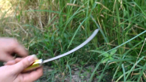 เกียวหญ้า เกียวข้าว มีดตัดหญ้า มีดตัดผัก ผักปกแล้ว 15 วันการตั้ง