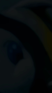 Crayon Joyko 24 Warna - OP24S