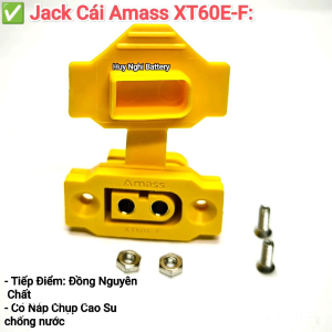 Jack Cái Amass XT60E-F: Cố Định Có Nắp Che Tiếp Điểm Đồng Nguyên Chất