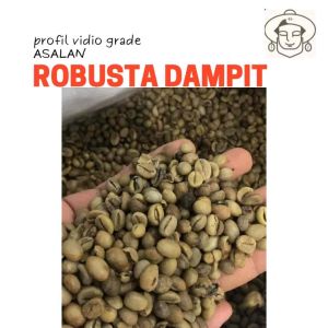 Biji Kopi mentah 1kg robusta dampit green bean terbaik grade asalan non sortir size 55-75mm gratis Kopi sachet sujakopi rekomendasi Kopi hijau mentah