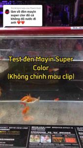 Bóng Đèn led MAYIN super colour chuyên dụng cho huyết long màu vàng màu đỏ Plus 52cm 72cm 92cm 112cm 192cm. Bóng Đèn Hồ Cá Huyết Long