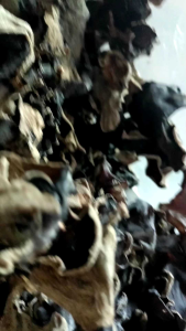 Jamur Kuping Kering Grade A 500 gr