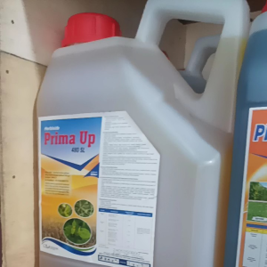 PRIMA UP 5 Liter | Glifosat 480SL CBA | Racun rumput sampai akar