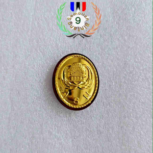 Pin Korpri Akrilik Motif Oval Polos & Tips Penggunaan