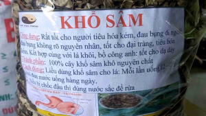 Cây khổ sâm  cho người  Dạ dày  đường  ruôt