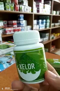 HIU – Daun Kelor Membantu Memelihara Kesehatan Tubuh