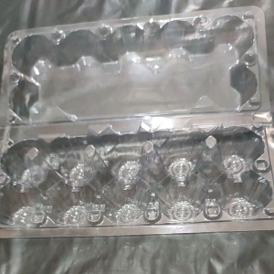 Mika Telor isi 10 Butir / Eqq Tray Telor