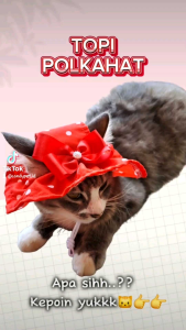 CANDY - Topi kucing polka hat pantai untuk kucing anjing kecil