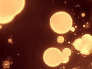 parfum minyak wangi wanita pria harum wangi segar lembut tahan lama non alkohol original