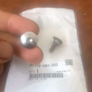 Ốc lục giác ( bàn thờ ) và Khoe kẹp ốc Sh Ý 2006 - 2011 - Giá 1 cặp