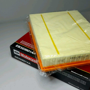 Air Filter Engine Ford Everest / Ranger Raptor 2016-2022 2.0L