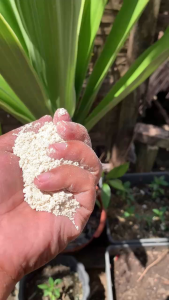 Agricultural Limestone APOG 1kg - fine texture - neutralizing soil acidity - gardening use - outdoor scene