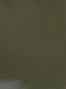 GELANG BATU ALAM BATU KRISTAL/GELANG BATU ASLI (FREE CINCIN MANIK SELAMA PERSEDIAAN ADA)