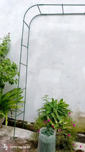 Khung Giàn đỡ cây 2m×1m4×30cm Phi 11 lõi Thép Bọc Nhựa