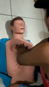 AirwayMan by Synchronicity - Half-Body CPR Training Manikin | Realistic Adult Cardiopulmonary Resuscitation Model for First Aid & Medical Training