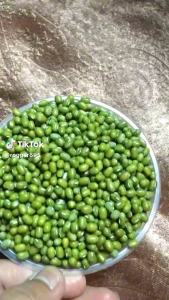 Kacang Hijau Super 1 kg/Kacang Hijau fresh/Kacang Hijau PB/Kacang Gronong super/Kacang langsung dari petani/Bubur kacang ijo