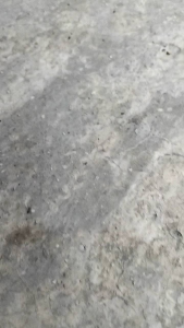 sepatu snekers anak laki laki sepatu sekolah anak perempuan 30-41