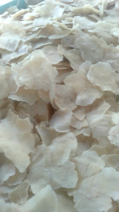 EMPING MENTAH 500g SIAP GORENG ASLI BANTEN