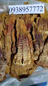 Măng khô đầu đỏ đặc sản Tây Bắc phơi nắng tự nhiên không hóa chất.