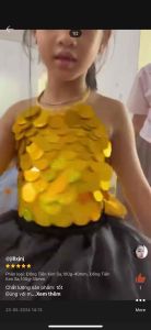 100G Lá Đồng Tiền Kim Sa 25mm [3 Màu] Trang Trí Cây Tài Lộc