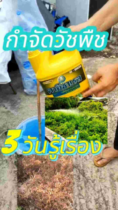 คายีซาเรส กำจัดวัชพืช