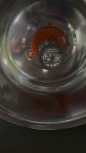 Combo Coconut Grater with 2Tons Presser Hydraulic