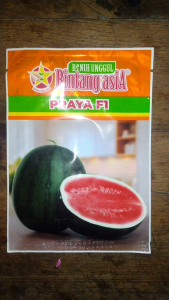 Benih semangka merah  PRAYA F1 20gram dari bintang asia